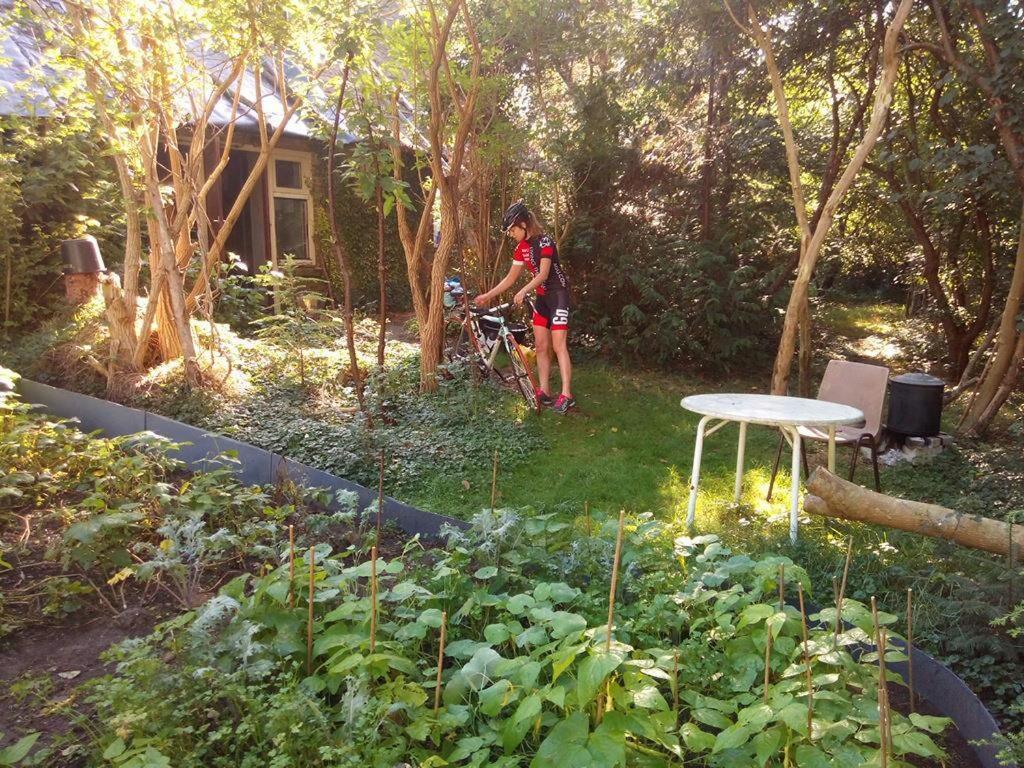 De Hoeve Mare Terre Giethoorn, Voor 1 Tot 6 Personen Exterior foto